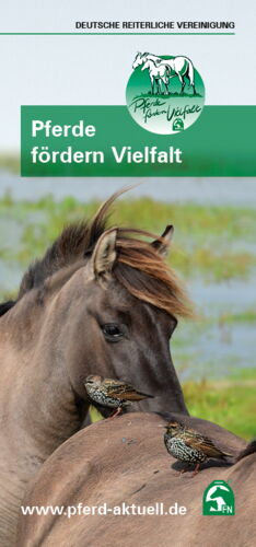 Pferde fördern Vielfalt