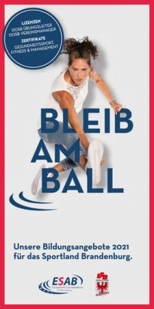 https://lsb-brandenburg.de/downloads/publikationen/2021/bildungsprogramm/mobile/index.html