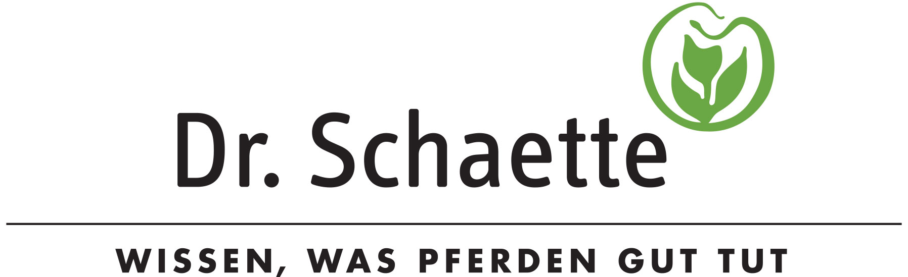 Dr. Schaette